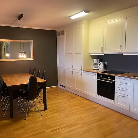 Stor Og Moderne I Sentrum *