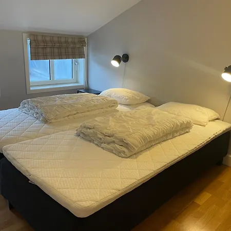 Stor Og Moderne I Sentrum *