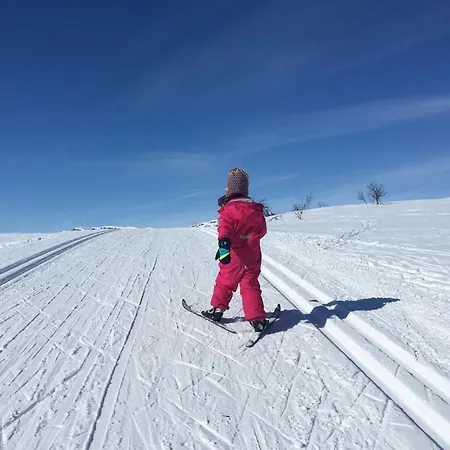 Stor Og Moderne I Sentrum *