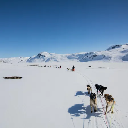 Апартаменты Stor Og Moderne I Sentrum *